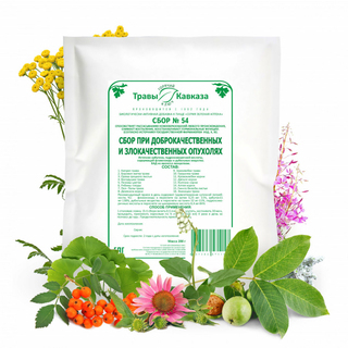 Сбор Травы Кавказа при доброкачественных и злокачественных опухолях №54, 200 гр Сбор Травы Кавказа при доброкачественных и злокачественных опухолях №54, 200 гр