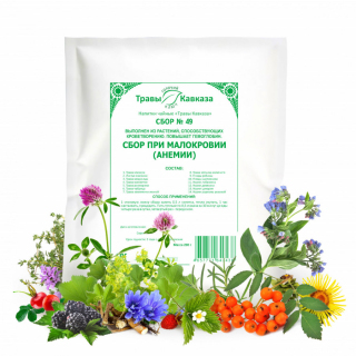 Сбор Травы Кавказа при малокровии (анемии) № 49, 200 гр Сбор Травы Кавказа при малокровии (анемии) № 49, 200 гр